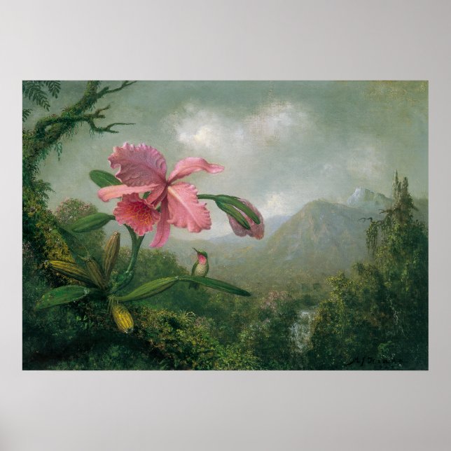 Póster Martin Johnson Heade - Orquídea con dos colibríes (Frente)