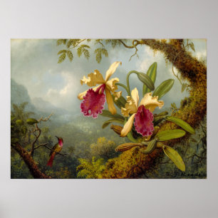 Póster Martin Johnson Heade - Orquídeas y colibrí