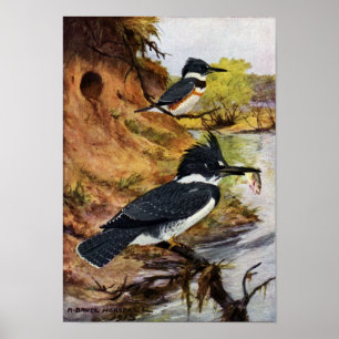 Póster Martines pescadores ceñidos y su túnel de la