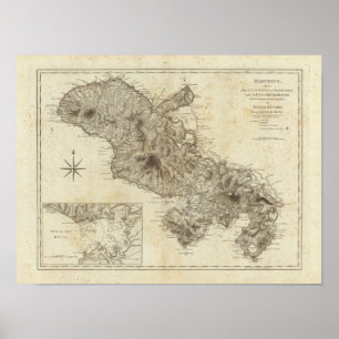Póster Martinico