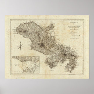 Póster Martinico
