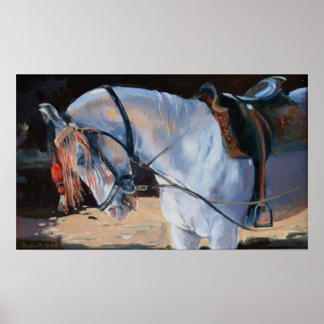 Póster Marwari Horse Rajasthan 2010 (Frente)