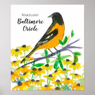 Póster Maryland Baltimore Oriole Black Eyed Susans