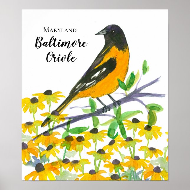 Póster Maryland Baltimore Oriole Black Eyed Susans (Frente)