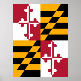 Póster Maryland State Flag Graphic