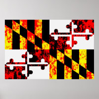 Maryland State Flag Pop Art