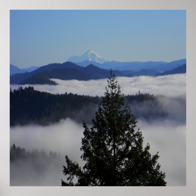 Póster Más allá del árbol.... (Frente)