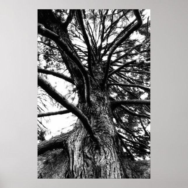 Póster Más alto de lo que crees (Frente)