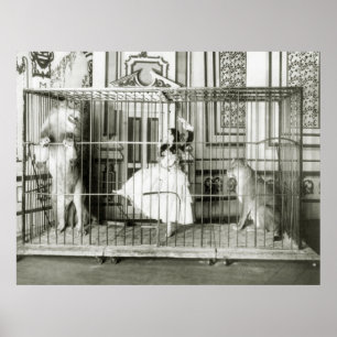 Póster Más doméstico de león: 1897