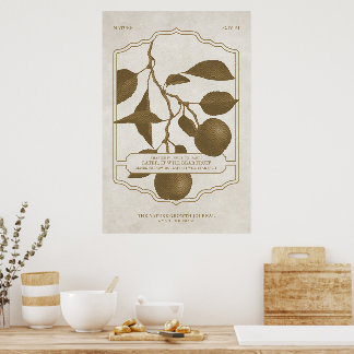 PÓSTER MÁS TARDE, LLEVARÁ EL POSTER FRUIT V3