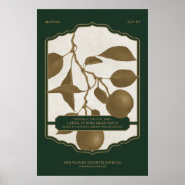 PÓSTER MÁS TARDE, OSTENDRÁ FRUTA