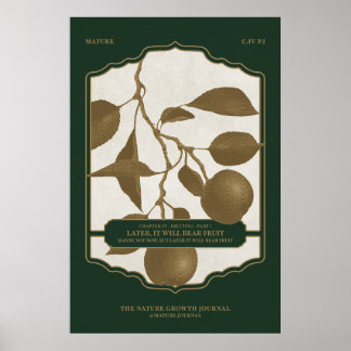 PÓSTER MÁS TARDE, OSTENDRÁ FRUTA