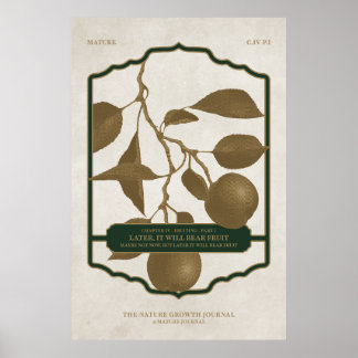 PÓSTER MÁS TARDE, OSTENDRÁ FRUTA V2