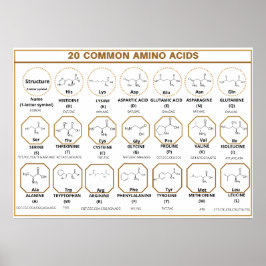 Póster Masa común a 20 aminoácidos comunes