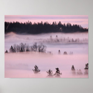 Póster Masa de niebla rosada.