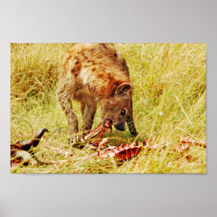 Póster Masai Mara de Kenia del Hyena