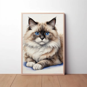 Póster Mascota acogedor Ragdoll Cat Ilustracion Ragdoll