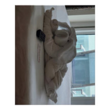 Mascota animal de toalla de cerdo de crucero