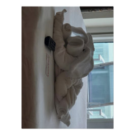 Póster Mascota animal de toalla de cerdo de crucero