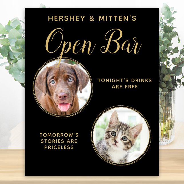 Póster Mascota Boda de oro negro Personalizado de bar abi (Subido por el creador)
