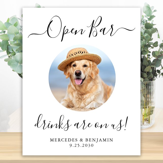 Póster Mascota Boda De Perro Abierto Bar Bebidas Personal (Subido por el creador)