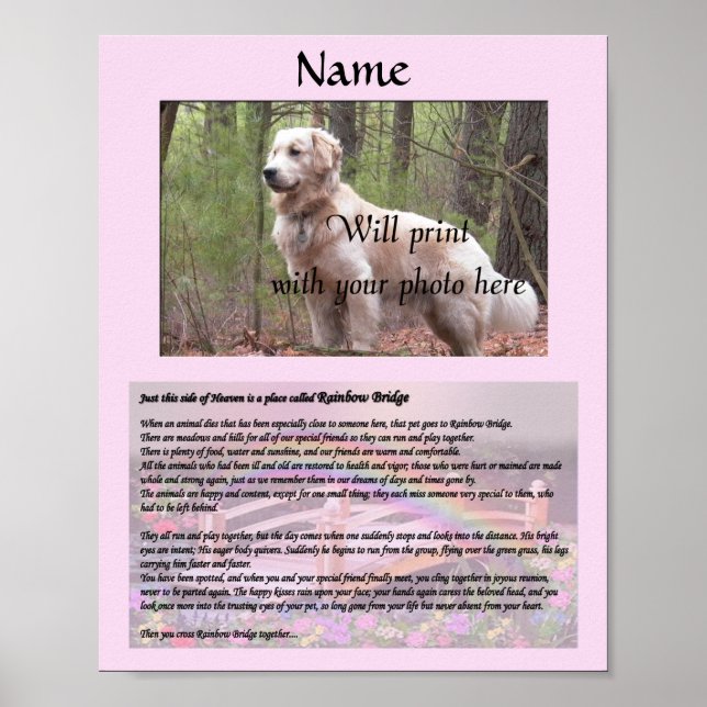 Póster Mascota conmemorativo del puente arco iris rosa (Frente)