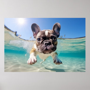 Póster Mascota de Bulldog francés Perro juego de diversió