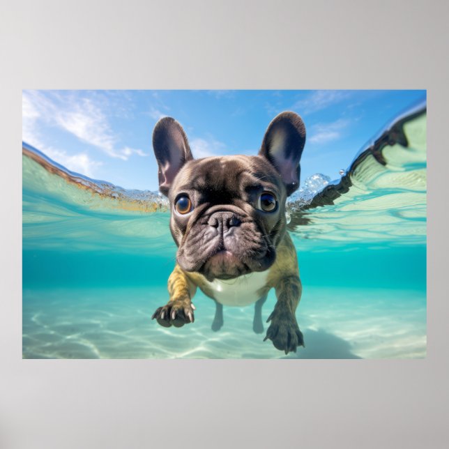 Póster Mascota de Bulldog francés Perro juego de diversió (Frente)