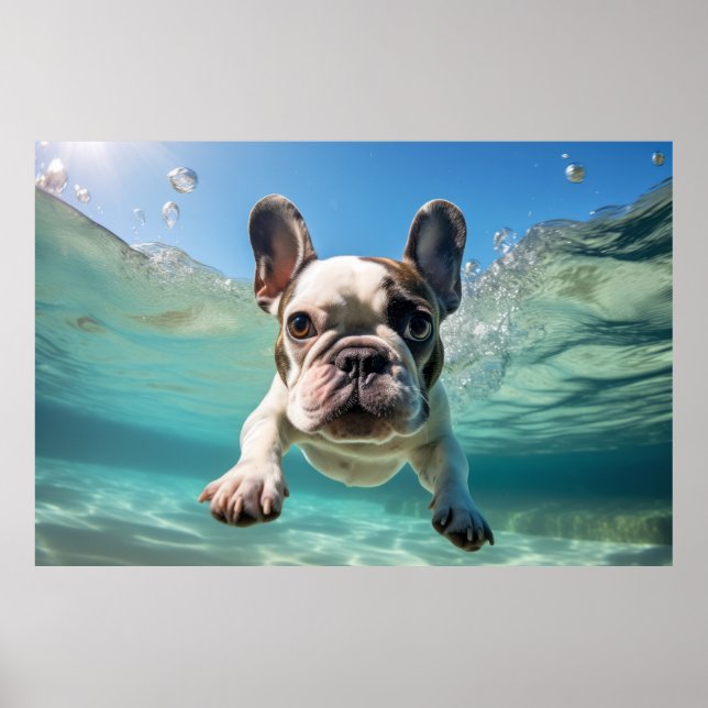 Póster Mascota de Bulldog francés Perro juego de diversió (Frente)