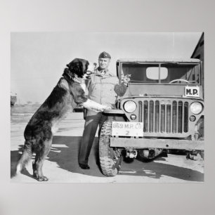 Póster Mascota del MP: 1942