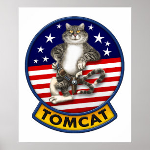 Póster Mascota F-14 Tomcat