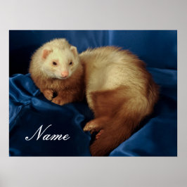 Póster Mascota Ferret personalizado