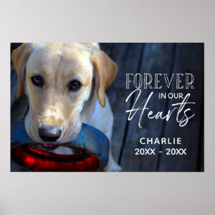 Póster mascota fotográfico personalizado conmemorativo co