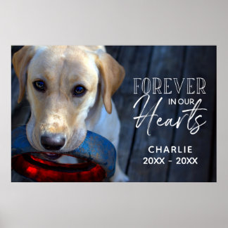 Póster mascota fotográfico personalizado conmemorativo co