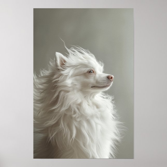 Póster Mascota Grooming Salon Boutique Spitz Retrato (Frente)