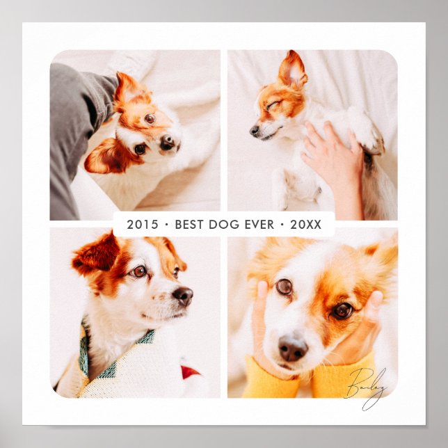 Póster Mascota Memorial Mejor Perro Collage de fotos Mode (Frente)