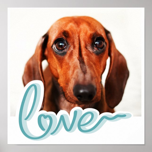 Póster Mascota Poster con tipografía azul moderna (Frente)