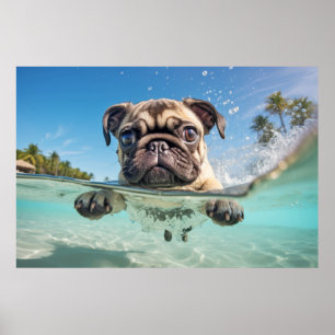 Póster Mascota Pug Perro Animal Divertido jugando al agua