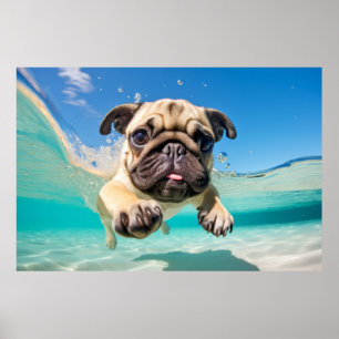 Póster Mascota Pug Perro Animal Divertido jugando al agua