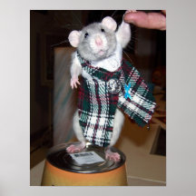 Mascota Rat Ruby Poster - Kilt