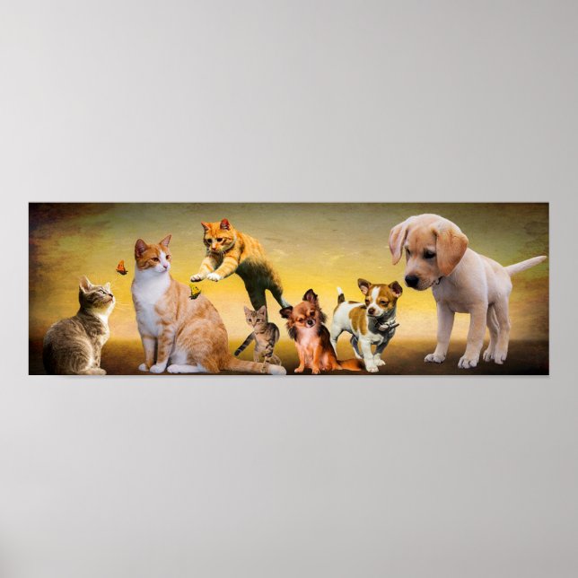 Póster Mascotas (Frente)