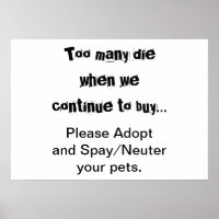 Mascotas Adoptar Esterilizar Superpoblación de Mas