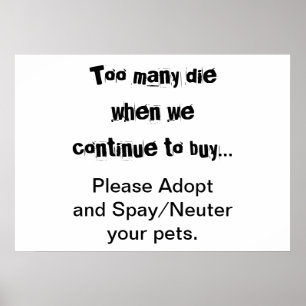Póster Mascotas Adoptar Esterilizar Superpoblación de Mas