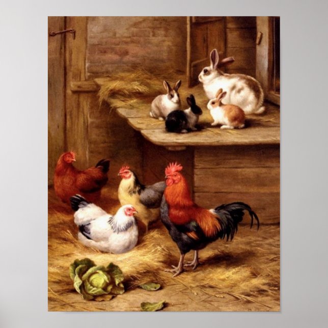 Póster Mascotas de gallinas de gallos de conejo crían con (Frente)