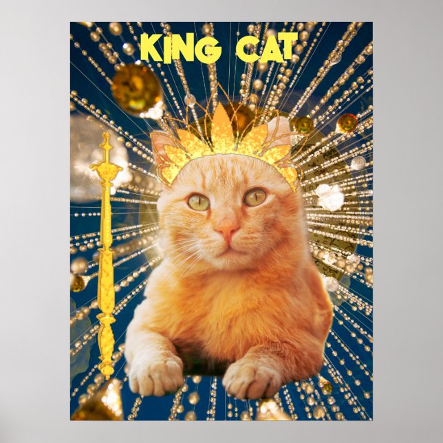 Póster Mascotas  de Poster de King Cat divertidos y ganad (Frente)