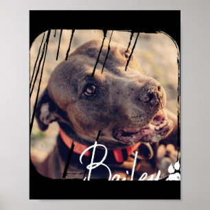 Póster Mascotas modernas simples nombre y foto cool Nge