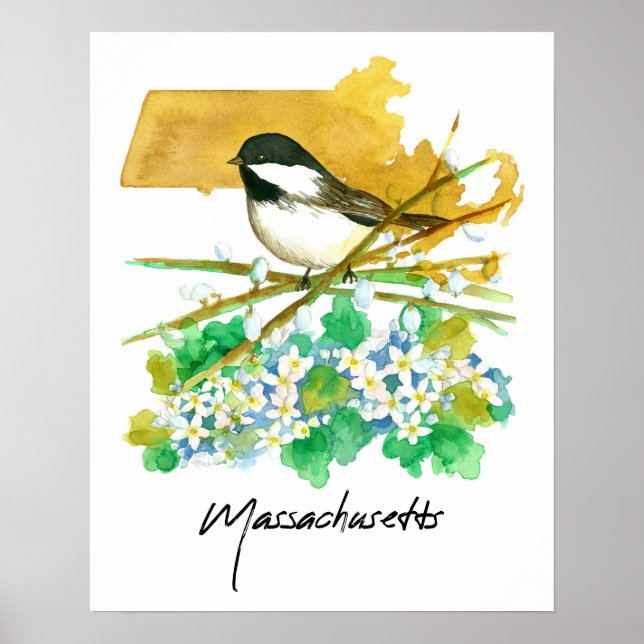 Póster Massachusetts Bird Chickadee Willow Branches (Frente)