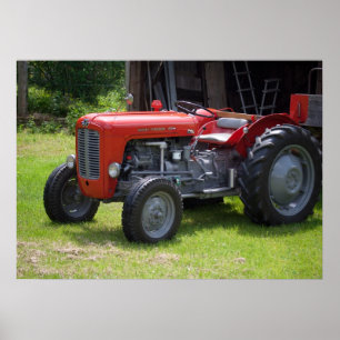 Póster Massey Ferguson 35X