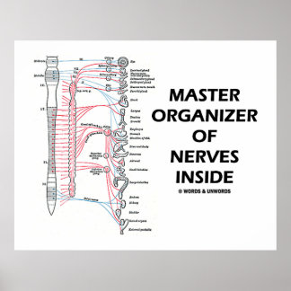 Póster Máster Organizador De Nervios Dentro (Sistema Nerv