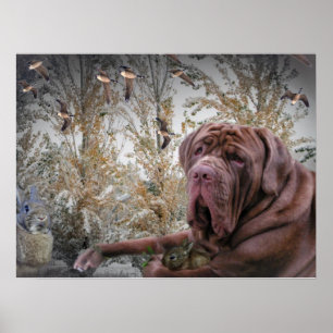 Póster Mastiff con un pequeño Poster de conejo